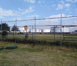 Cancha De Pemex photo
