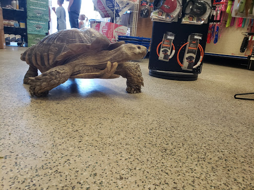 Pet Store «Rockstar Pets», reviews and photos, 215 N Main St, Tooele, UT 84074, USA