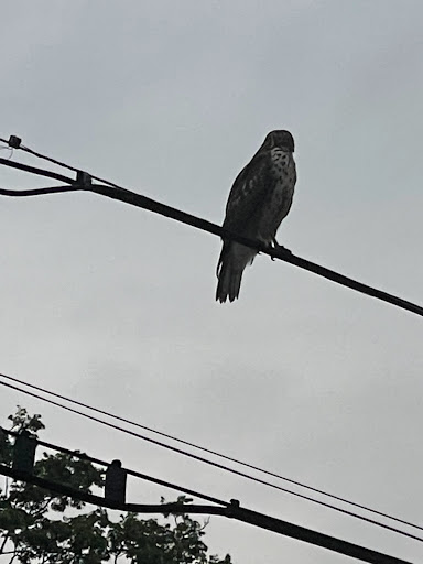 Park «Seneca Park», reviews and photos, 3151 Pee Wee Reese Rd, Louisville, KY 40207, USA