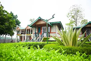 Hotel Dynasty Inn- Family Resort In Lataguri image