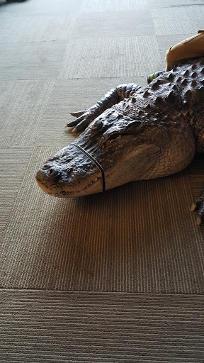 Nature Preserve «Hickory Knolls Discovery Center», reviews and photos, 3795 Campton Hills Drive, St Charles, IL 60175, USA