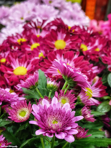 Home Improvement Store «The Home Depot», reviews and photos, 56 Myrick St, Ellsworth, ME 04605, USA