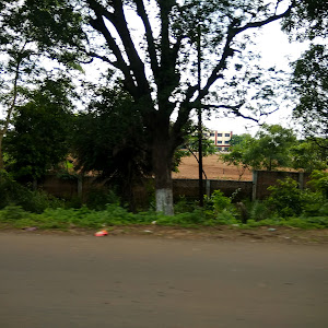 Saint Francis Of Assissi School photo