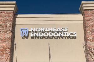 Northeast Endodontics image