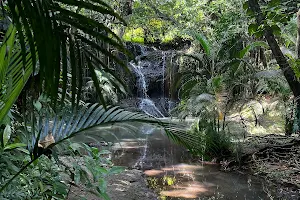 LaTille Falls and Garden image