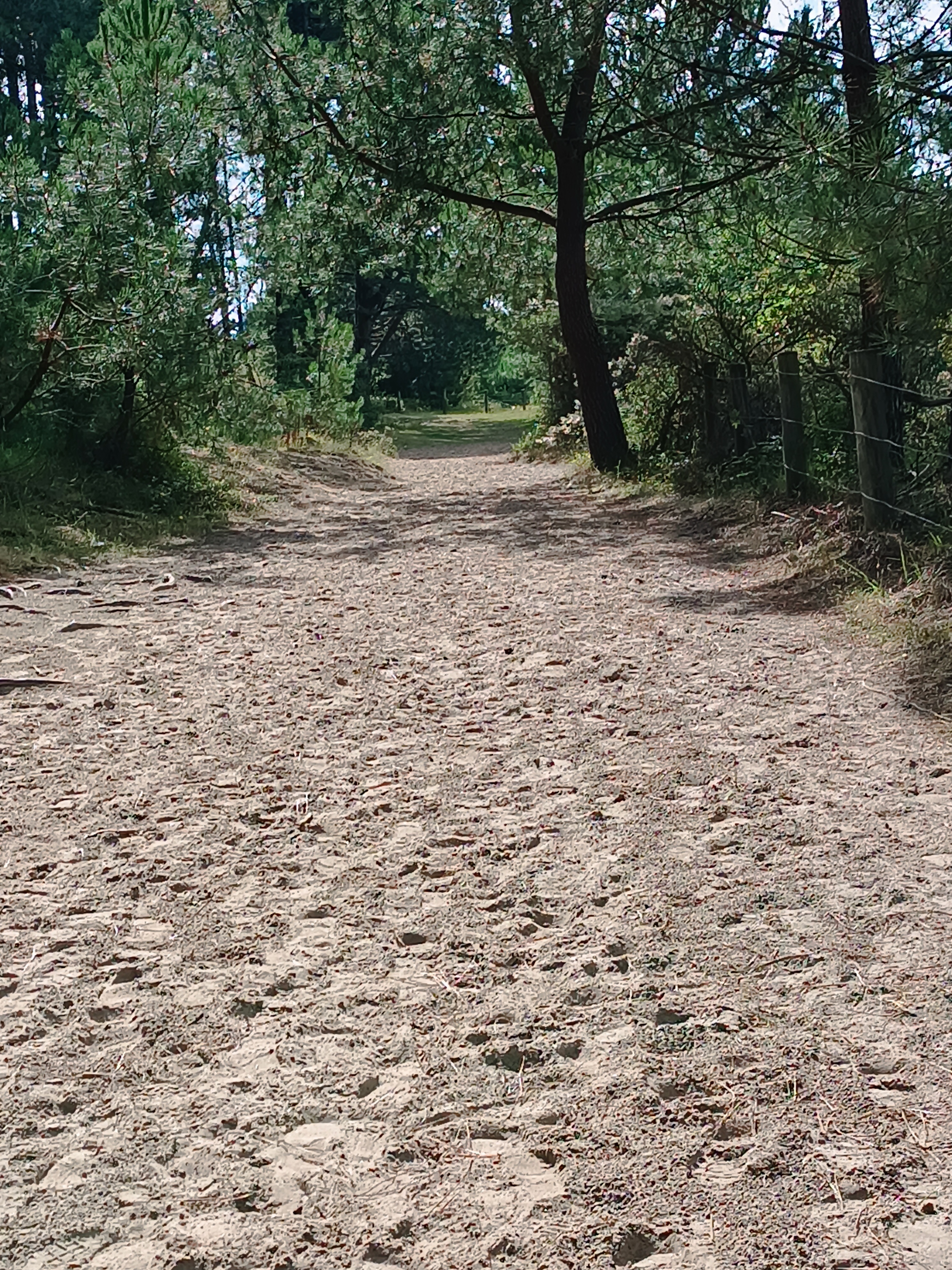 Photo n° 6 de l'avis de marie.u fait le 09/08/2023 à 10:20