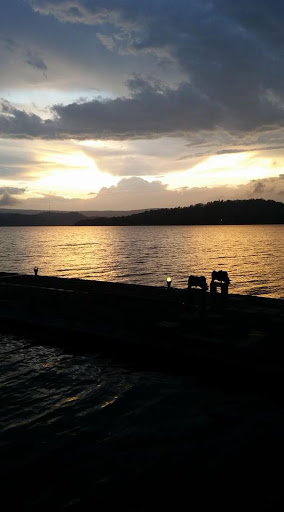 Marina «Terrace View Marina», reviews and photos, 3367 Euchee Chapel Rd, Spring City, TN 37381, USA