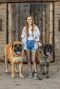Silhouette Photography - Photo 7 - Car repair in Tucson, AZ, Tucson