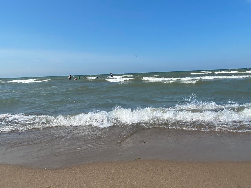 Foto av Seacliff beach - populär plats bland avkopplingskännare