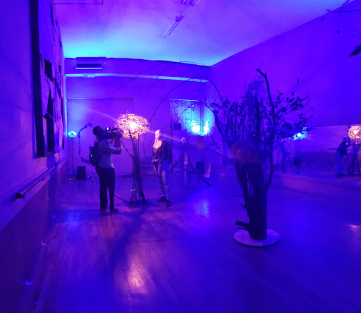 Performing Arts Theater «Evergreen Theater», reviews and photos, 1705 Poplar Ave, Memphis, TN 38104, USA