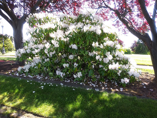 Wedding Venue «Landmark Event Center», reviews and photos, 23660 Marine View Dr S, Des Moines, WA 98198, USA