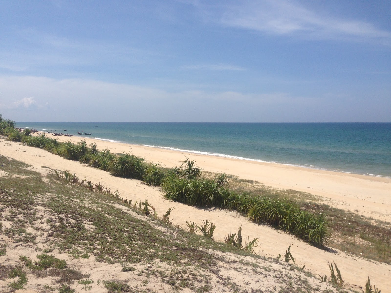 Photo de Phu Dien Beach avec rivage droit, long