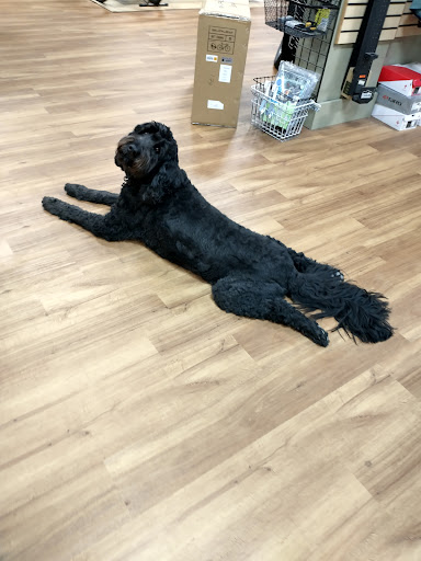 Bicycle Store «The Bike Peddler», reviews and photos, 174 Commercial St NE, Salem, OR 97301, USA