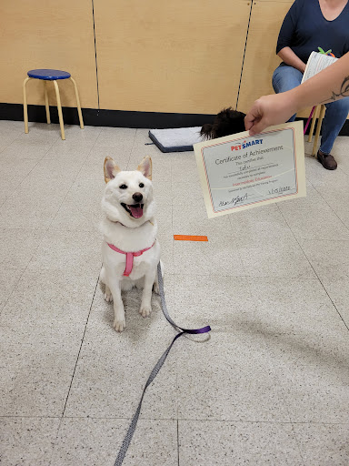 Pet Supply Store «PetSmart», reviews and photos, 466 S Watson Rd, Buckeye, AZ 85326, USA