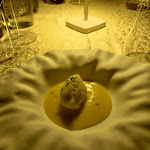 Photo n°3 de l'avis de Aurora.i fait le 13/08/2022 à 21:34 sur le  Dante e Ivana à Rosignano Marittimo