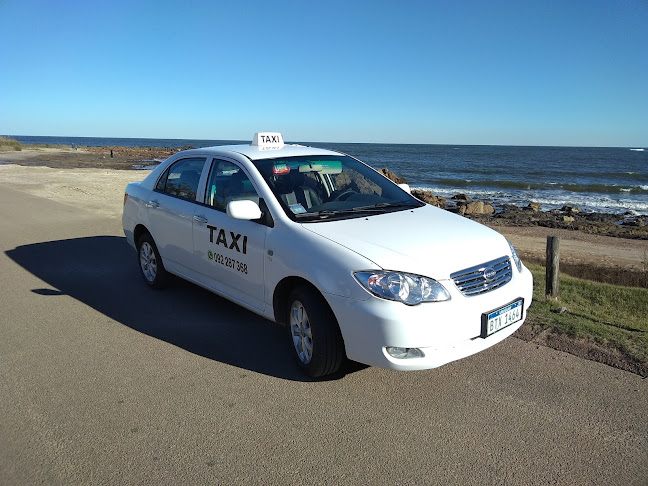 Opiniones de TAXI PIRIAPOLIS en Maldonado - Servicio de taxis