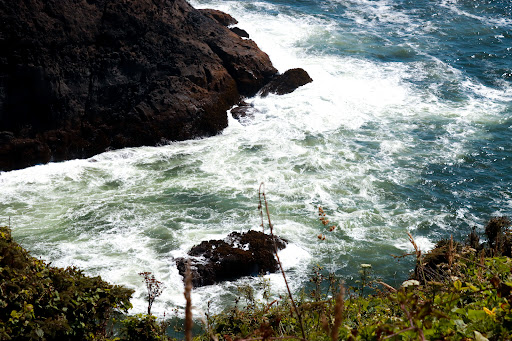 Tourist Attraction «Sea Lion Caves», reviews and photos, 91560 US-101, Florence, OR 97439, USA
