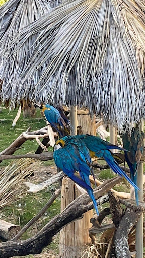 Park «Osceola Heritage Park», reviews and photos, 1875 Silver Spur Ln, Kissimmee, FL 34744, USA