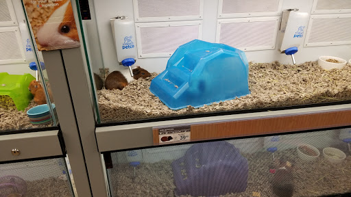 Pet Supply Store «Petco Animal Supplies», reviews and photos, 1320 Lincoln Way E #20, Chambersburg, PA 17202, USA