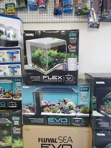 Tropical Fish Store «New York Reef Aquatic», reviews and photos, 45-62 162nd St, Flushing, NY 11358, USA