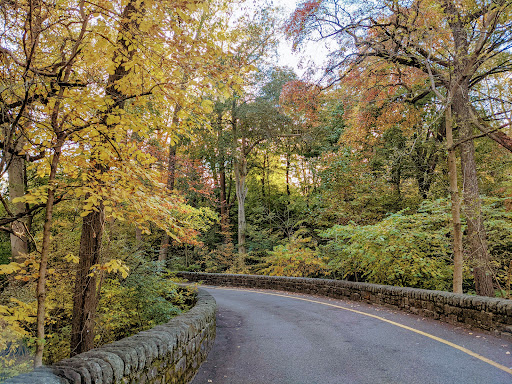 Nature Preserve «Tregaron Conservancy», reviews and photos, 3100 Macomb St NW, Washington, DC 20008, USA