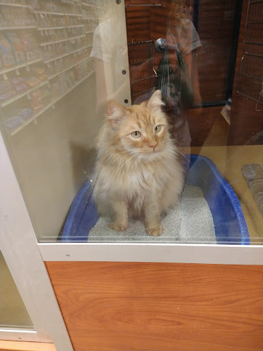 Pet Supply Store «PetSmart», reviews and photos, 745 W Huntington Dr, Monrovia, CA 91016, USA