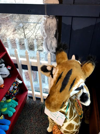 Toy Store «Incredible Toy Co Inc», reviews and photos, 3411 US-321, Blowing Rock, NC 28605, USA