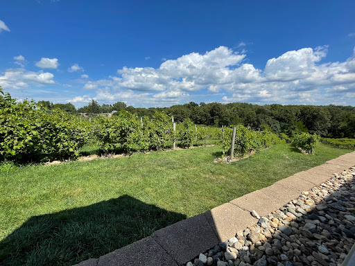 Vineyard «Cedar Ridge Winery & Distillery», reviews and photos, 1441 Marak Rd NW, Swisher, IA 52338, USA