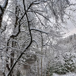 Photo n°3 de l'avis de Elfriede.a fait le 06/12/2023 à 09:15 sur le  Ferienhäuser Reding à Bestwig