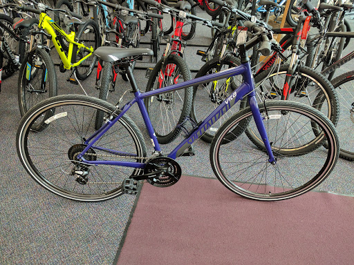 Carmel Cyclery, 230 W Carmel Dr, Carmel, IN 46032, USA, 