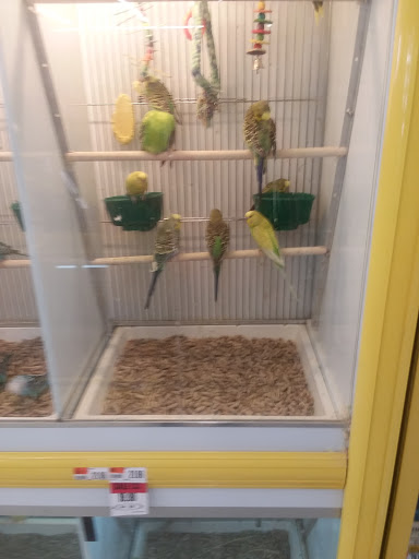 Pet Supply Store «Pet Supplies Plus», reviews and photos, 30450 Lakeshore Blvd, Willowick, OH 44095, USA