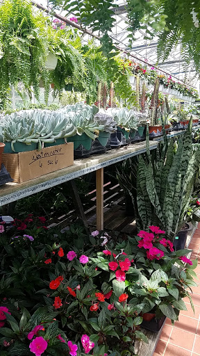 Garden Center «Westminster Nursery & Florist», reviews and photos, 30 Westminster Rd, West Hempstead, NY 11552, USA