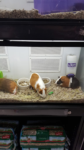 Pet Supply Store «Petco Animal Supplies», reviews and photos, 473 State Rd, North Dartmouth, MA 02747, USA