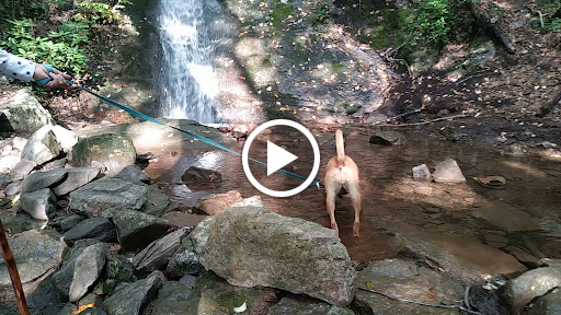 Moving Company «My Guys Moving & Storage Richmond», reviews and photos, 401 Dabbs House Rd, Richmond, VA 23223, USA