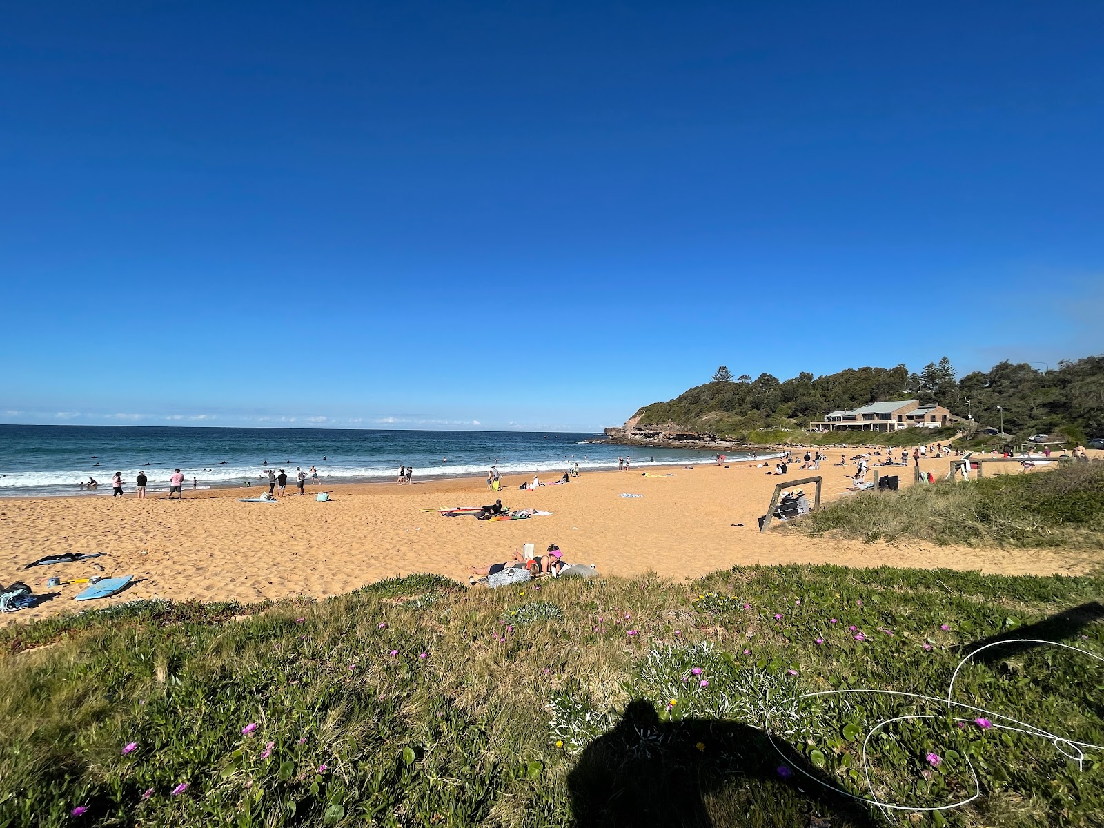 Photo of Warriewood Beach with blue pure water surface