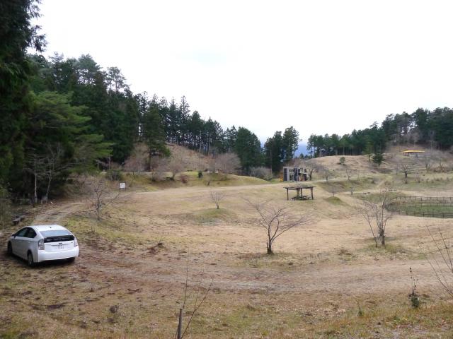 星ヶ窪草競馬場跡地