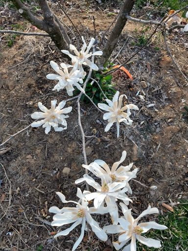 Museum «The George Washington Masonic National Memorial», reviews and photos, 101 Callahan Dr, Alexandria, VA 22301, USA