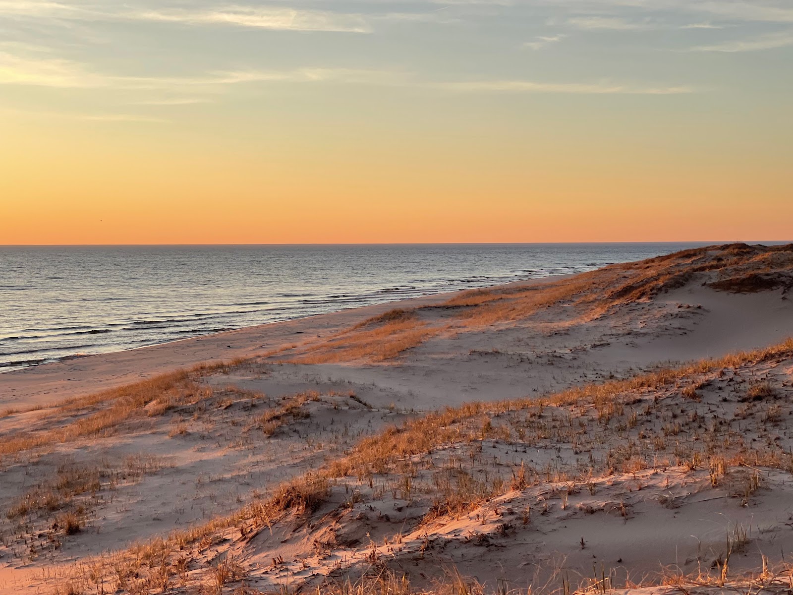 Ludington State Park Beach'in fotoğrafı - rahatlamayı sevenler arasında popüler bir yer