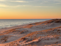Ludington State Park Beach'in fotoğrafı - rahatlamayı sevenler arasında popüler bir yer