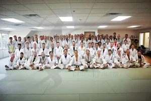 Rising Tide Academy (Columbia) Gracie Jiu-Jitsu - Muay Thai image