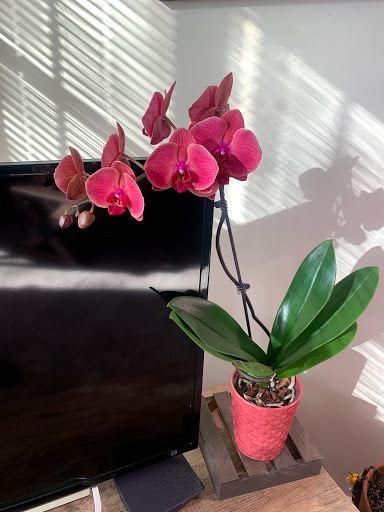 Shopping Mall «Woodbury Lakes», reviews and photos, 9020 Hudson Rd # 401, St Paul, MN 55125, USA