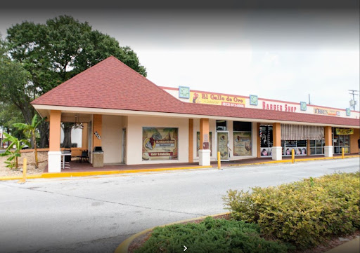 4007 Fiesta Plaza, Tampa, FL 33607, USA