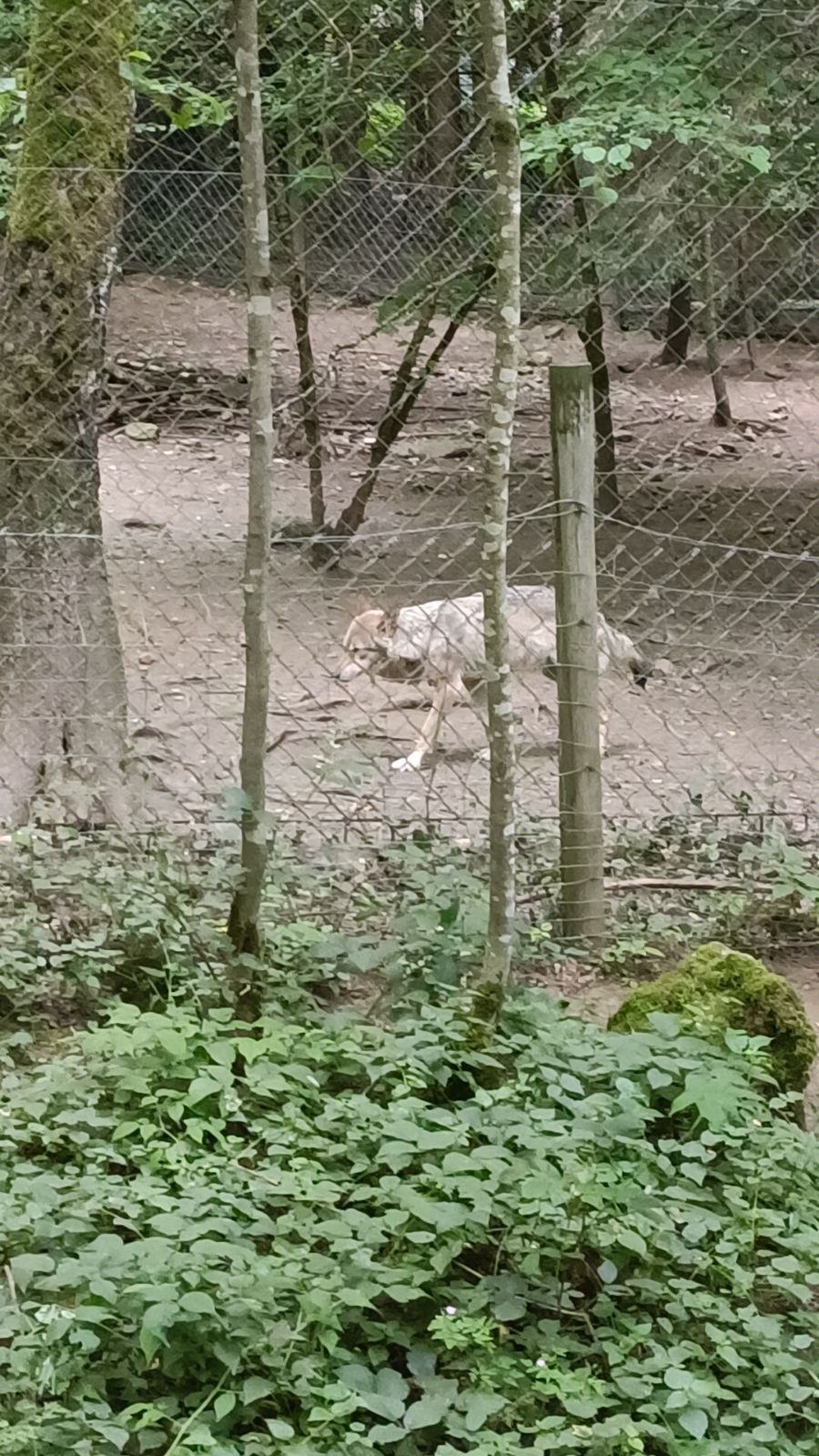 Photo n° 4 de l'avis de Laetitia.a fait le 19/07/2023 à 09:10