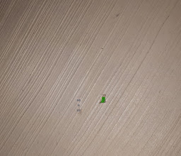 HOTEL VILLA REAL photo