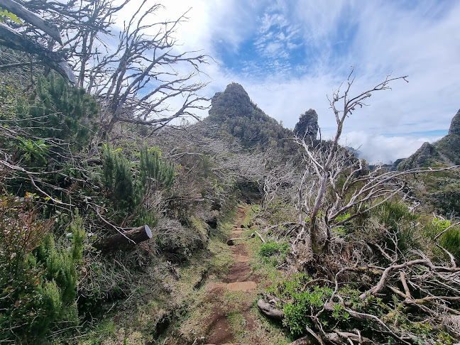 Avaliações doParque Natural da Madeira em Câmara de Lobos - Loja de produtos naturais