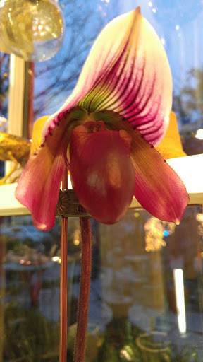 Florist «Green Cottage», reviews and photos, 1204 NY-213, High Falls, NY 12440, USA