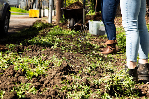 Non-Profit Organization «The Living Room Center», reviews and photos