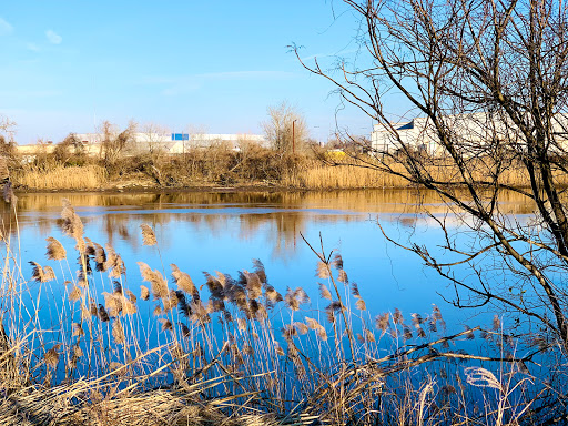 Nature Preserve «DuPont Environmental Education Center of Delaware Nature Society», reviews and photos, 1400 Delmarva Ln, Wilmington, DE 19801, USA
