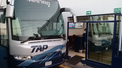 Transportes y Autobuses Del Pacifico TAP Los Reyes Michoacan