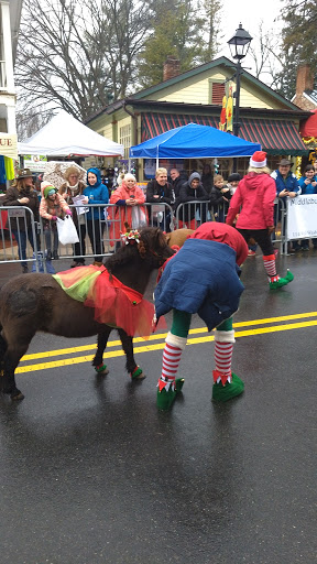 Event Venue «Middleburg Community Center», reviews and photos, 300 W Washington St, Middleburg, VA 20117, USA